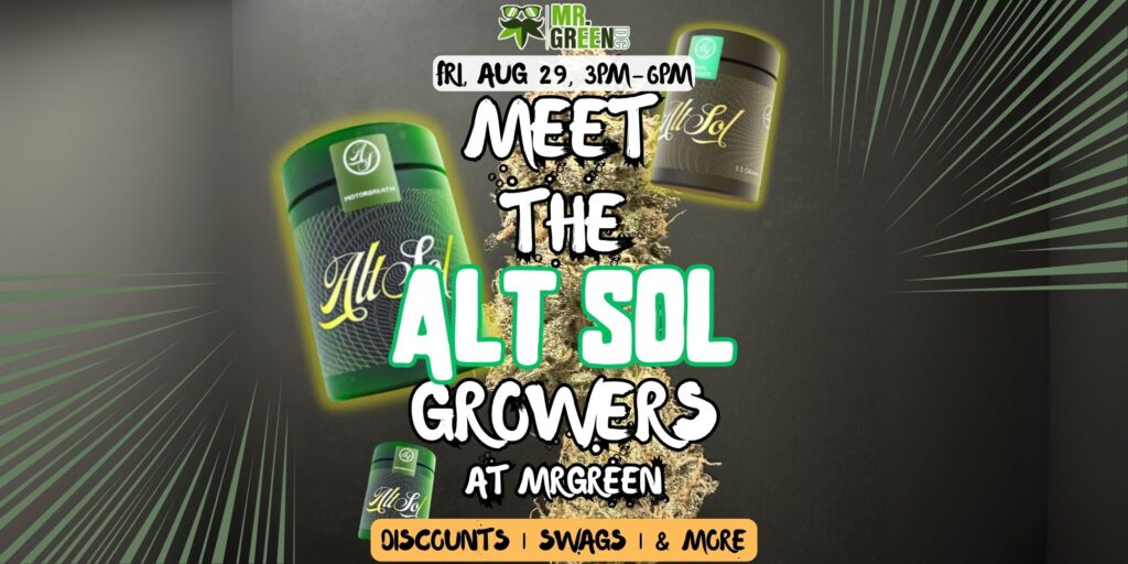 Alt Sol Pop Up: Meet the Team