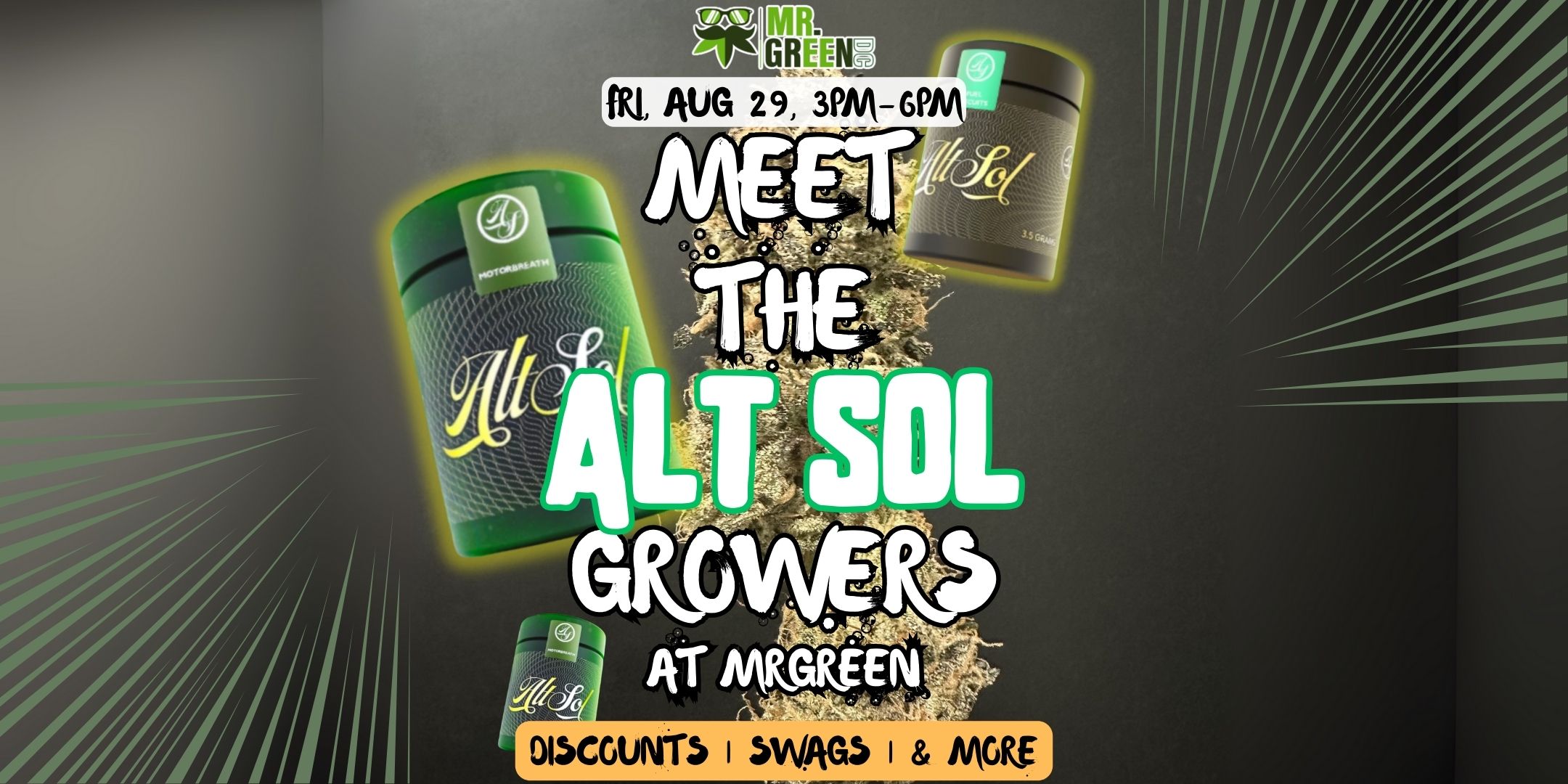 Alt Sol Pop Up: Meet the Team