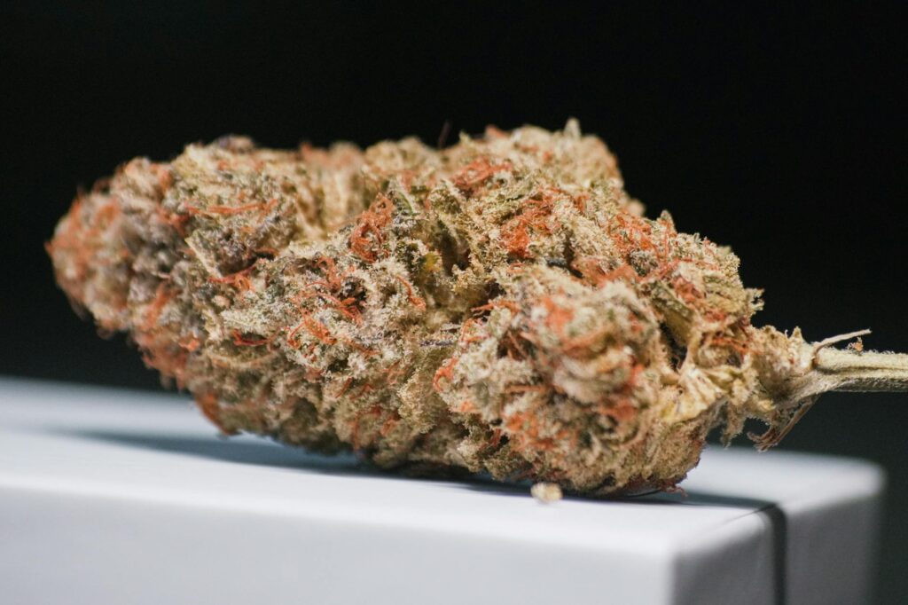 cannabis events DC — MrGreen DC dispensary