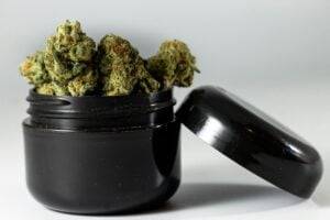 Medical Cannabis Dispensary Near National Zoo Washington DC — MrGreen DC dispensary