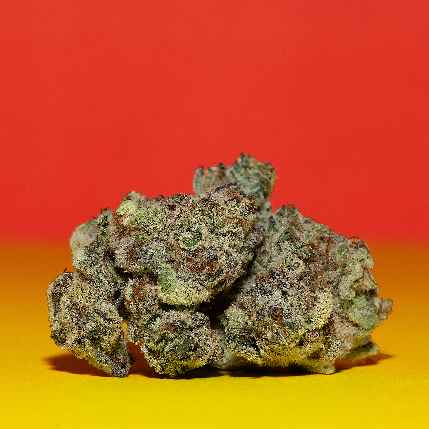 Hash Burger strain premium indica hybrid cannabis flower at MrGreen DC dispensary Washington DC