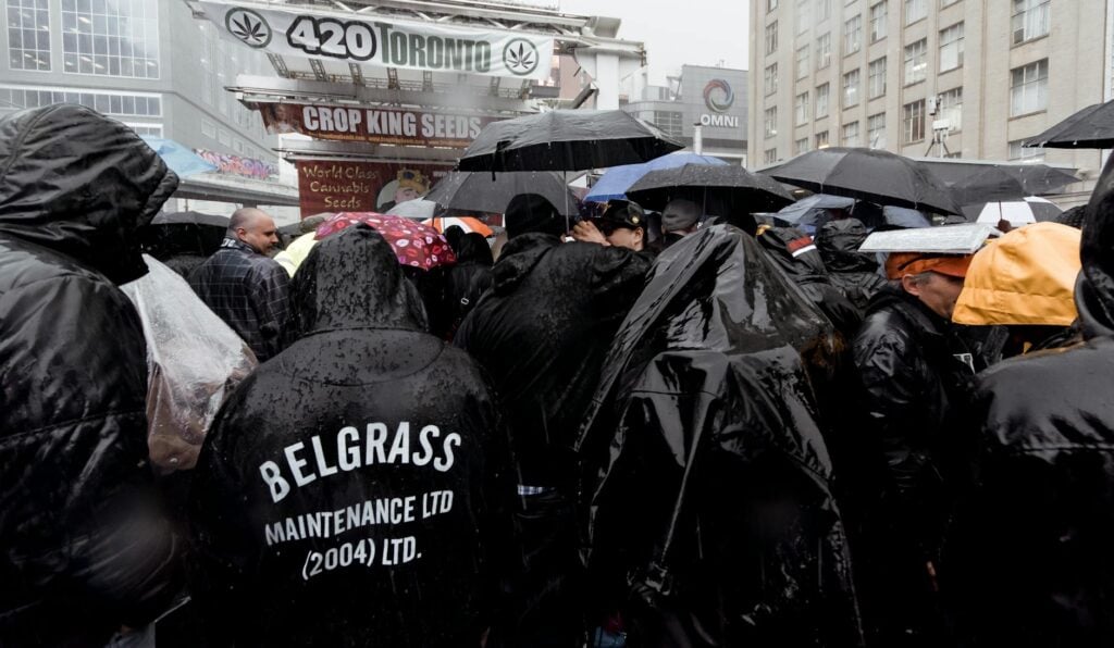 cannabis edibles DC — MrGreen DC dispensary