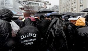 cannabis edibles DC — MrGreen DC dispensary