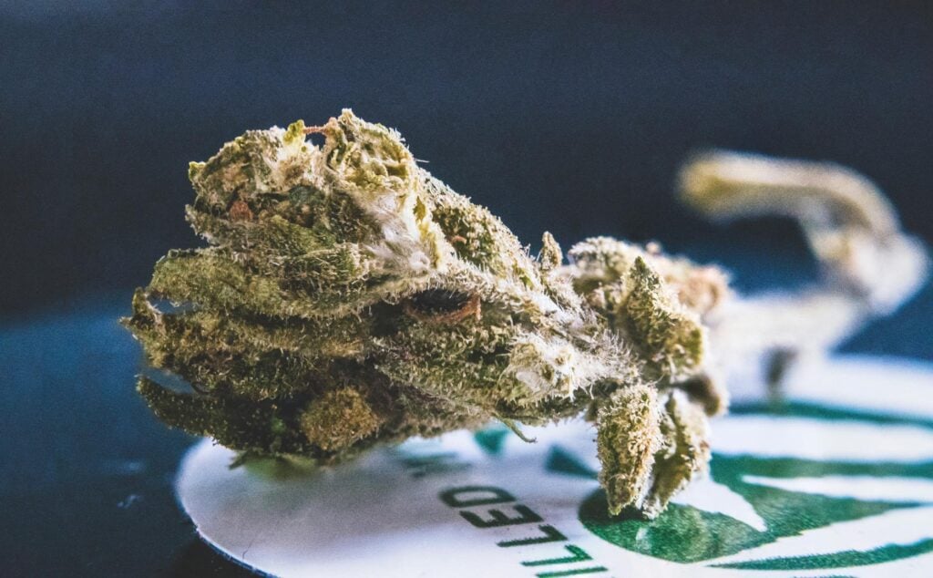 cannabis drinks DC — MrGreen DC dispensary