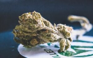 cannabis drinks DC — MrGreen DC dispensary