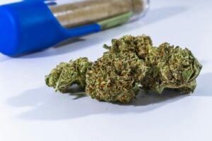 how long does THC stay in your system — MrGreen DC dispensary