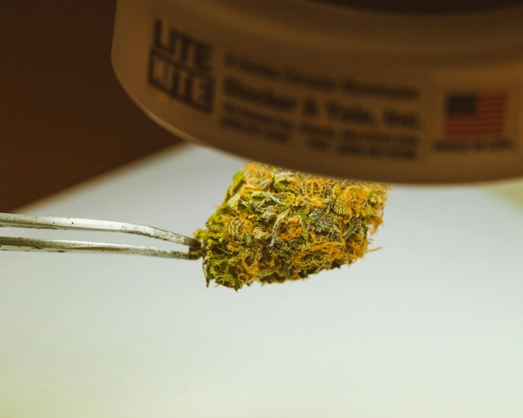 what is live rosin — MrGreen DC dispensary