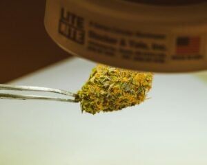 what is live rosin — MrGreen DC dispensary