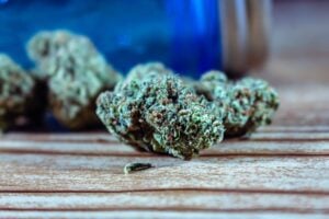 cannabis for lupus — MrGreen DC dispensary