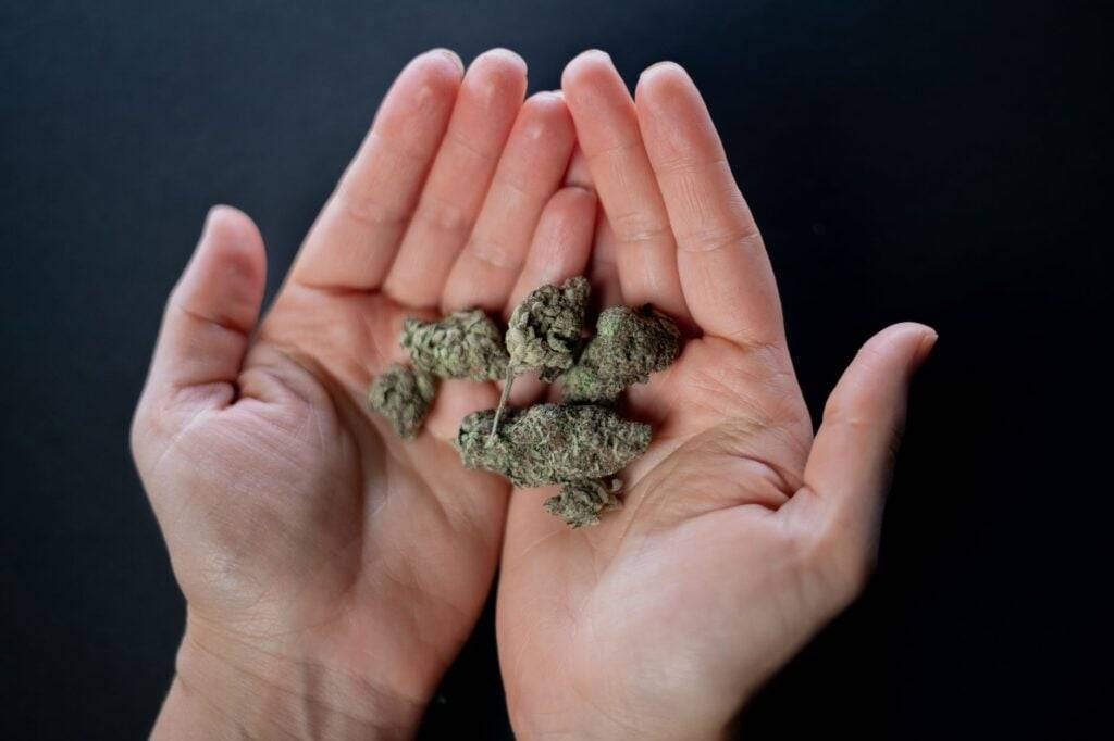medical cannabis card DC — MrGreen DC dispensary
