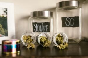 how to store cannabis — MrGreen DC dispensary
