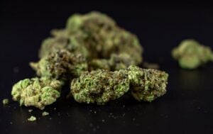 cannabis concentrates guide — MrGreen DC dispensary