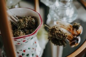 cannabis for bipolar disorder — MrGreen DC dispensary