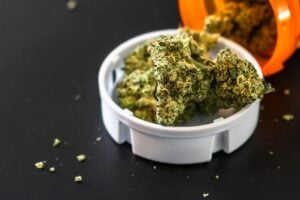 cannabis for appetite loss — MrGreen DC dispensary