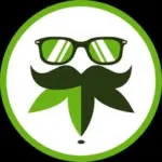 MrGreenDc